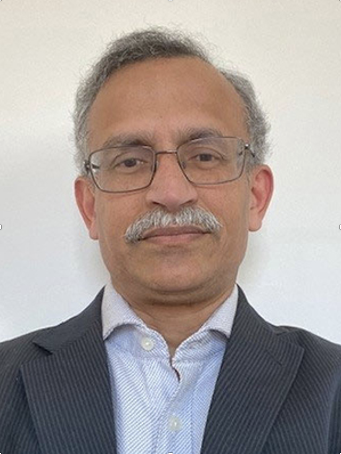 Prof Subhes Bhattacharyya